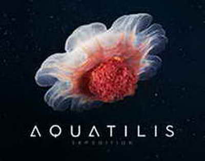 Немецкий автопром сыплется: вслед за Mercedes и Volkswagen резко упал BMW  20 Min