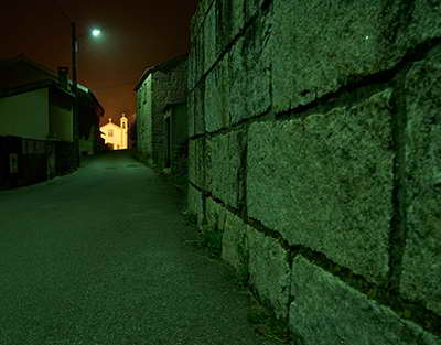 Наблюдатель из Испании заявил, что Европа может поучиться у РФ проводить выборы